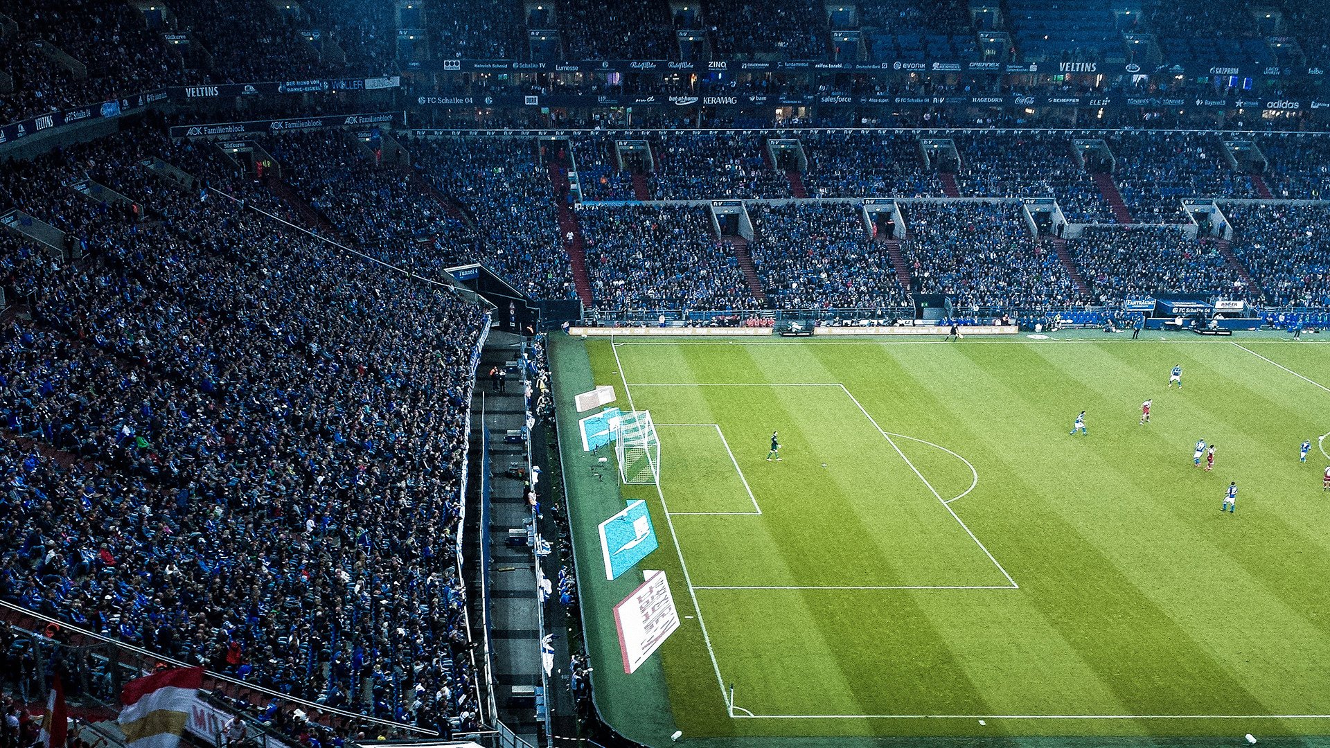 法国新秀崭露头角，团队未来充满希望